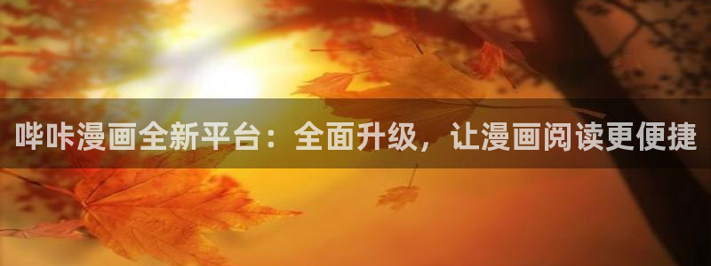 禁漫天堂在线观看网站：哔咔漫画全新平台：全面升级，让漫画阅读更便捷