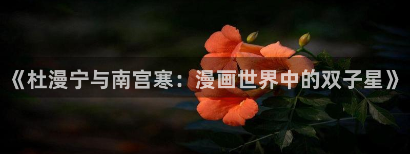 禁漫天堂主页：《杜漫宁与南宫寒：漫画世界中的双子星》
